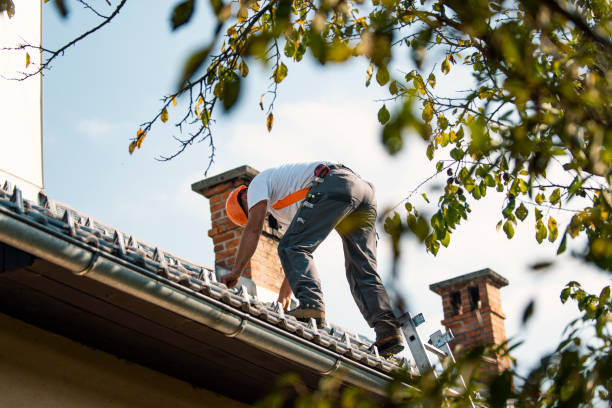 Best Residential Roofing Contractor  in West St Paul, MN