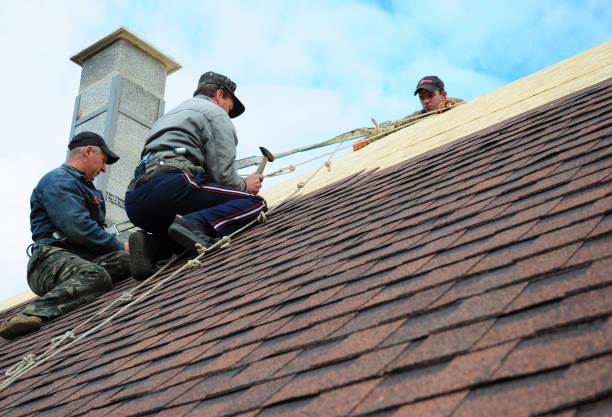 Best Roof Maintenance Services  in West St Paul, MN